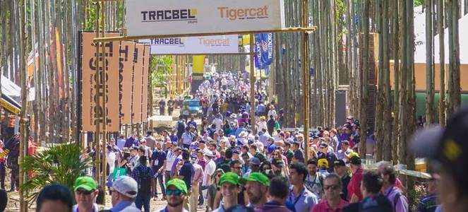 imagem publicacao Expoforest | UniBras