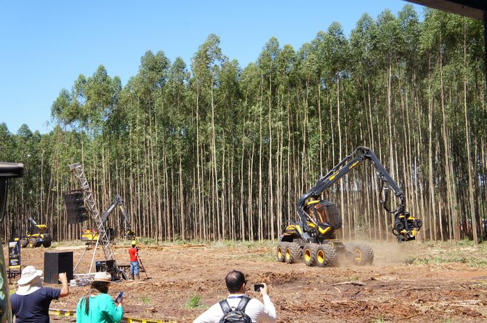 imagem 7 Expoforest