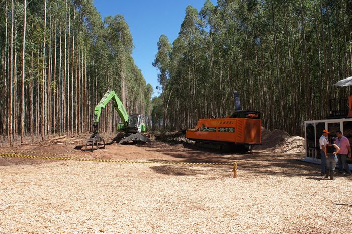 imagem 10 Expoforest