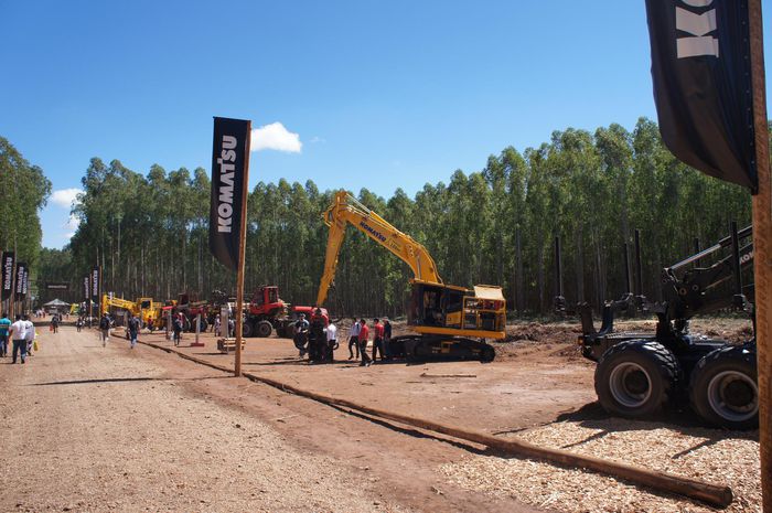 imagem 13 Expoforest
