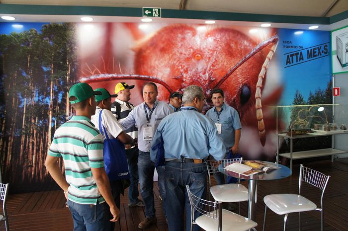 imagem 14 Expoforest