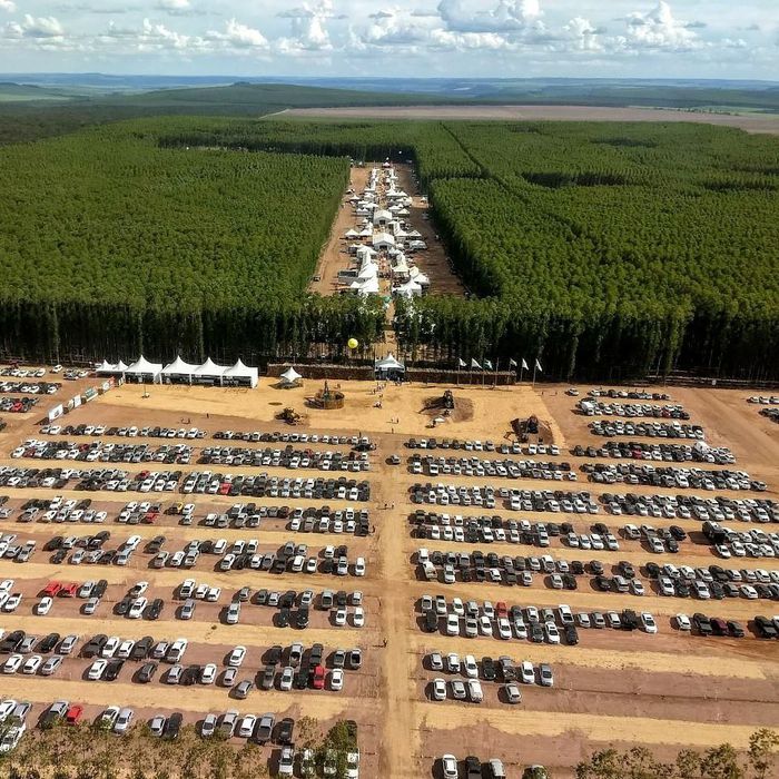 imagem 0 Expoforest