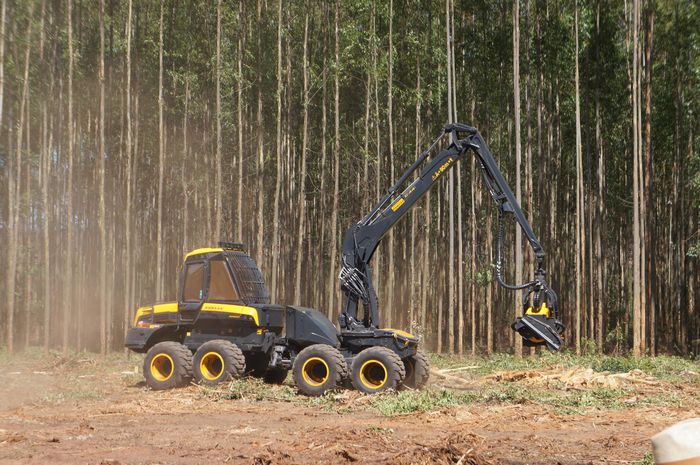imagem 6 Expoforest