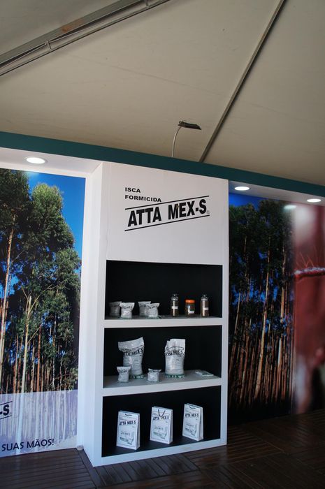 imagem 4 Expoforest