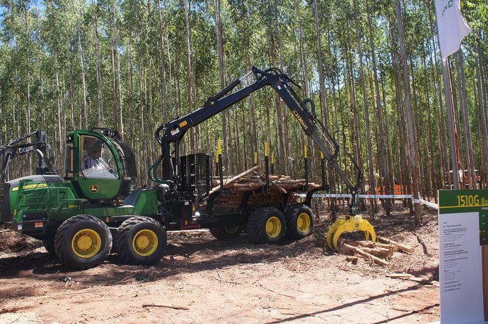 imagem 9 Expoforest
